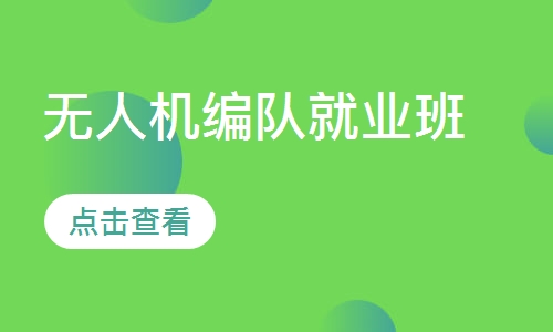 无人机编队就业班