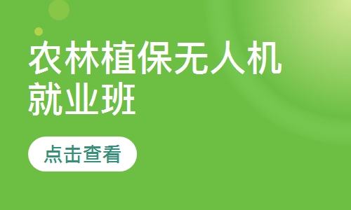 农林植保无人机就业班