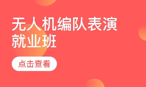 无人机编队表演就业班